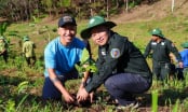Protecting forests and building a green future: From severe forest loss to a global reference